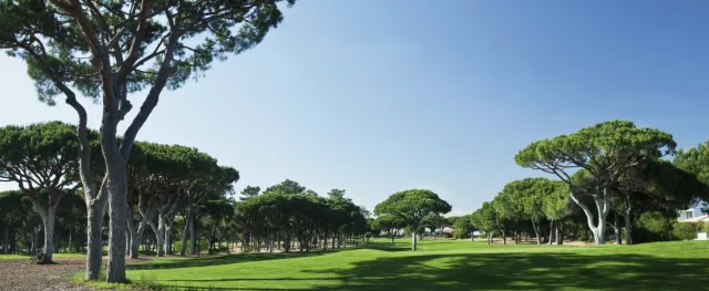 Billede av hotellet Hotel Pinhal da Marina - nummer 1 af 14