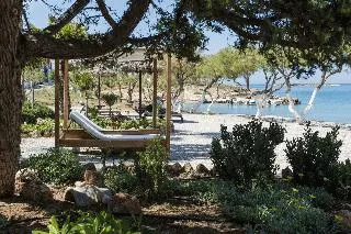 Billede av hotellet Kalypso Hotel - nummer 1 af 55