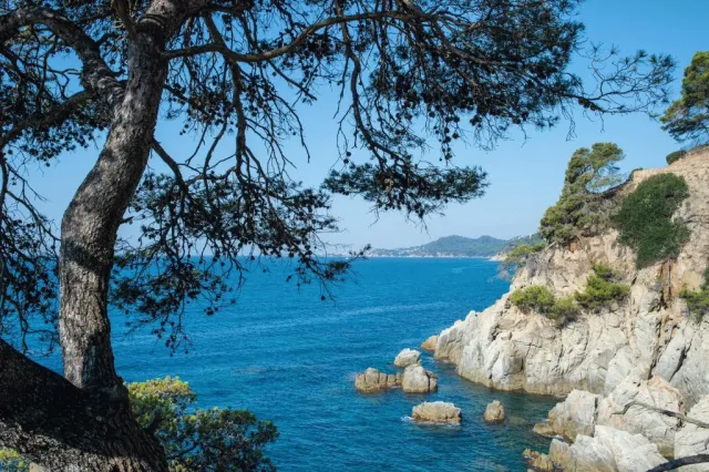 Billede av hotellet Hotel Lloret Santa Rosa by Pierre & Vacances - nummer 1 af 10