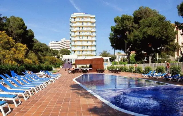 Billede av hotellet Hotel Timor - nummer 1 af 7