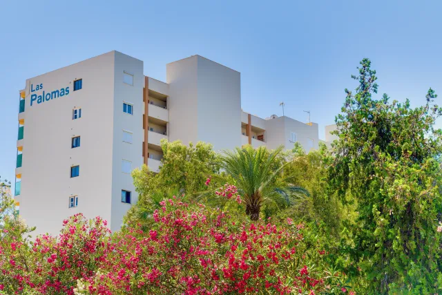 Billede av hotellet Las Palomas Apartments Econotels - nummer 1 af 8