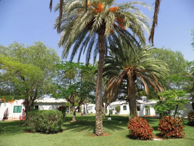 Billede av hotellet Canary Garden Club - nummer 1 af 40
