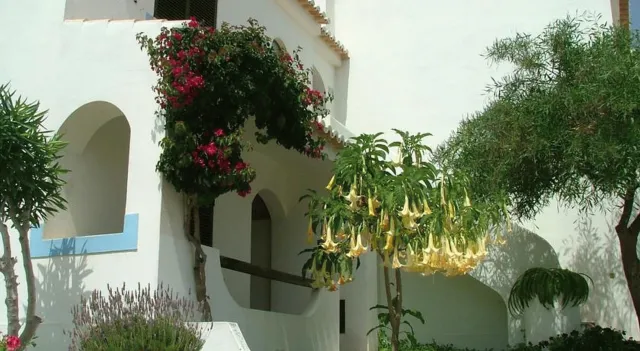 Billede av hotellet Turiquintas - nummer 1 af 10