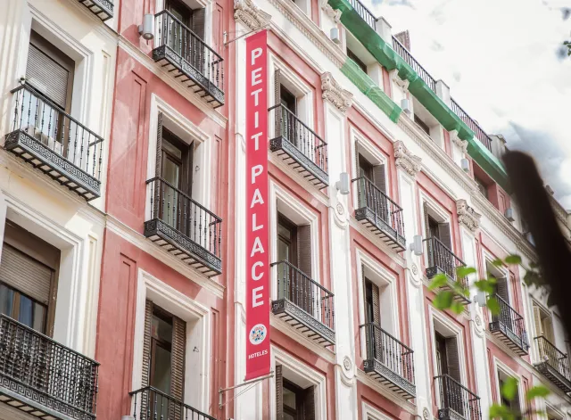 Billede av hotellet Petit Palace Puerta del Sol - nummer 1 af 10
