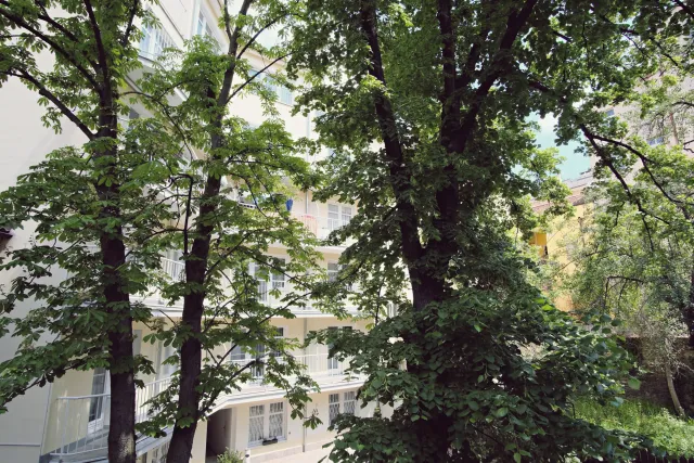 Billede av hotellet Sir Toby's Midtown - Hostel - nummer 1 af 6
