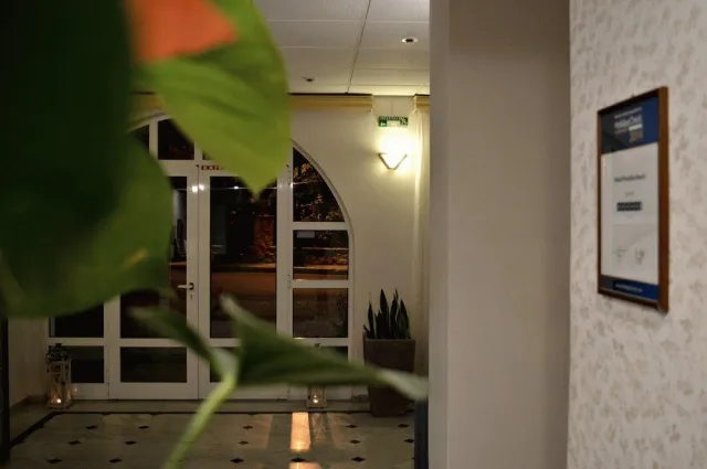 Billede av hotellet Chryssi Akti / Paradise - nummer 1 af 25
