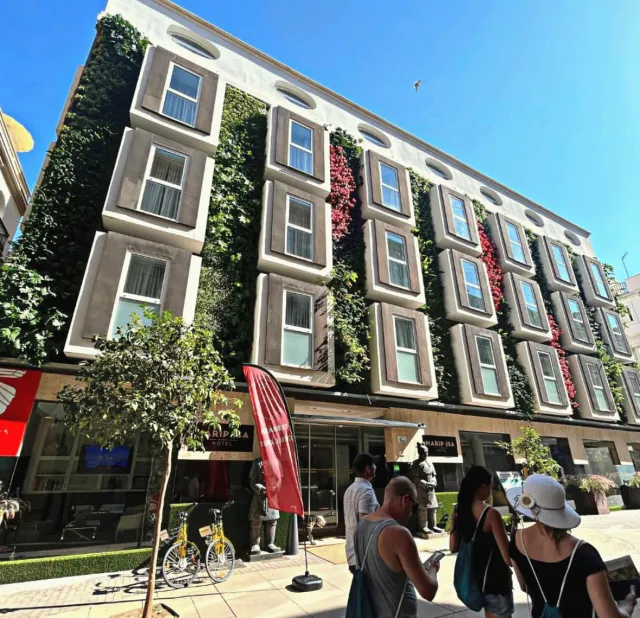 Billede av hotellet Hotel Mariposa - nummer 1 af 10