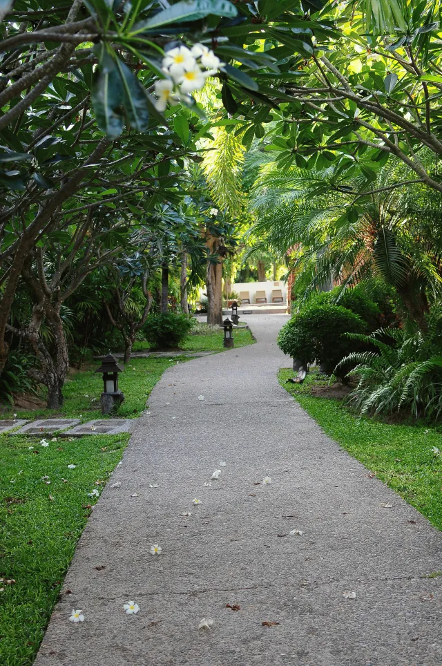 Billede av hotellet Railay Bay Resort and Spa - nummer 1 af 10