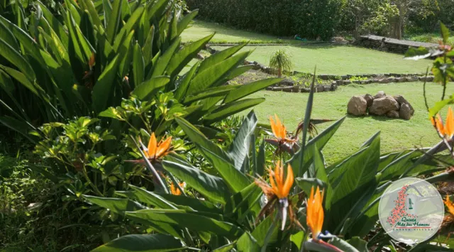 Hotellbilder av Quinta Mae Dos Homens Garden Village - nummer 1 av 10