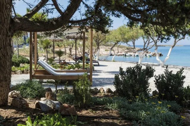 Billede av hotellet Kalypso - nummer 1 af 10
