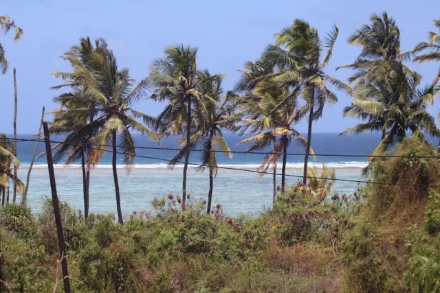 Hotellbilder av Holiday Time Bungalows Zanzibar - nummer 1 av 39