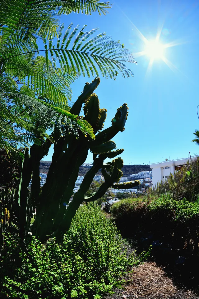 Hotellbilder av Puerto Bello Apartamentos - nummer 1 av 35