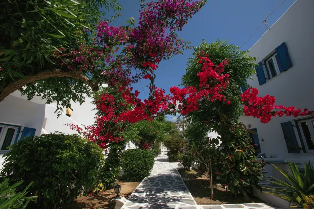 Billede av hotellet Acrogiali Beachfront Hotel - nummer 1 af 10