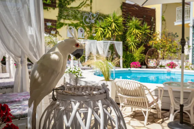 Hotellbilder av V.A. Boutique Apartments and Suites - nummer 1 av 65