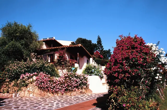 Billede av hotellet Hotel Don Diego - nummer 1 af 10
