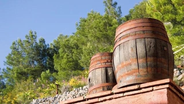 Billede av hotellet Finca El Tossal - nummer 1 af 10