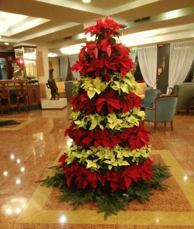 Billede av hotellet Santa Barbara - nummer 1 af 10