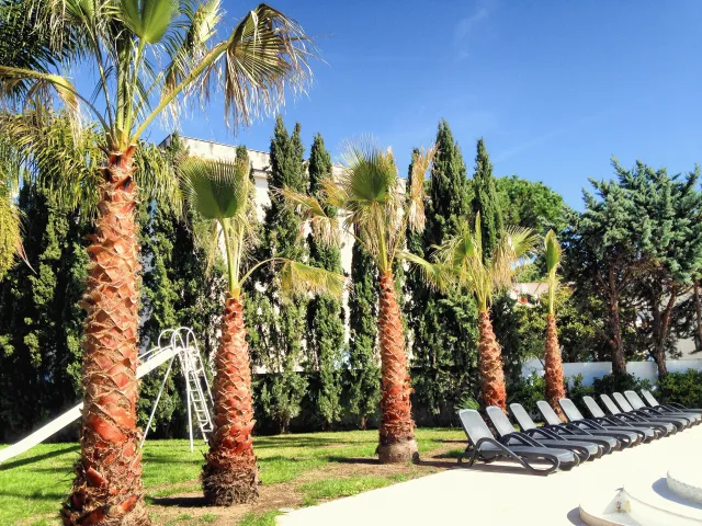 Hotellbilder av Le Palme - nummer 1 av 24