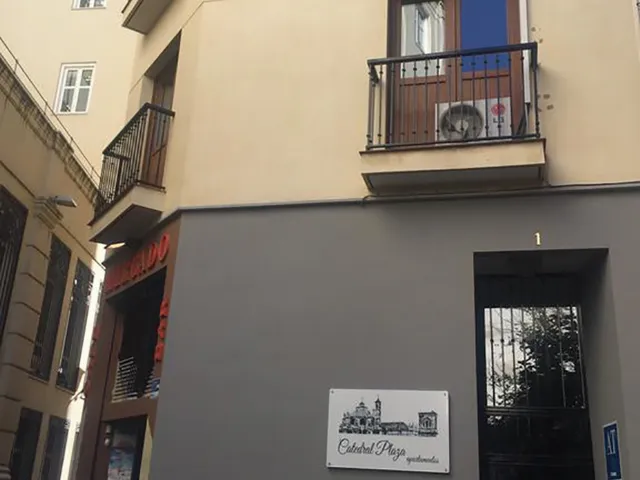 Billede av hotellet Apartamentos Catedral Plaza 3000 - nummer 1 af 2