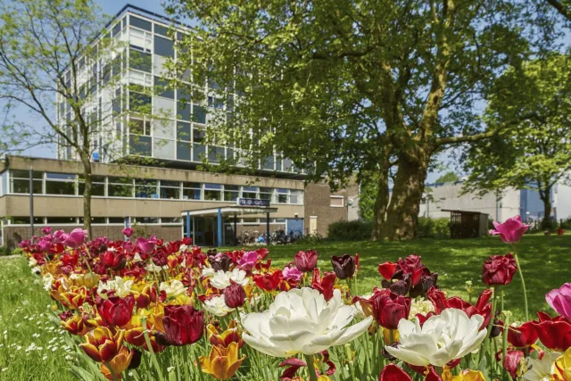 Billede av hotellet Pension Homeland - nummer 1 af 10