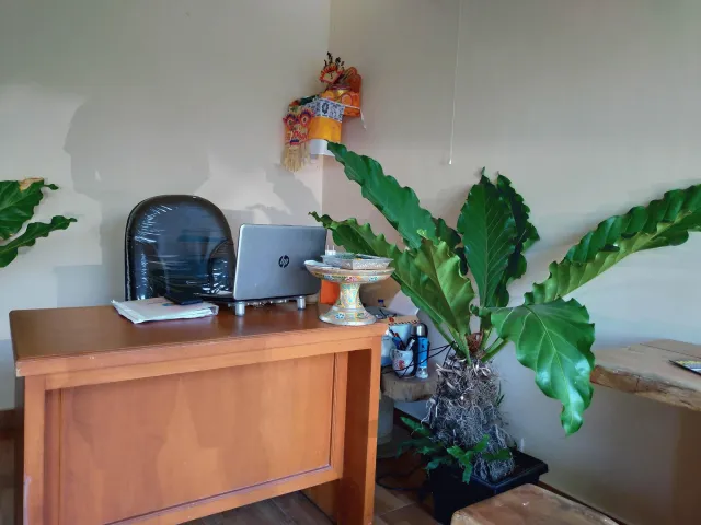 Hotellbilder av Beji Ayu Homestay - nummer 1 av 7