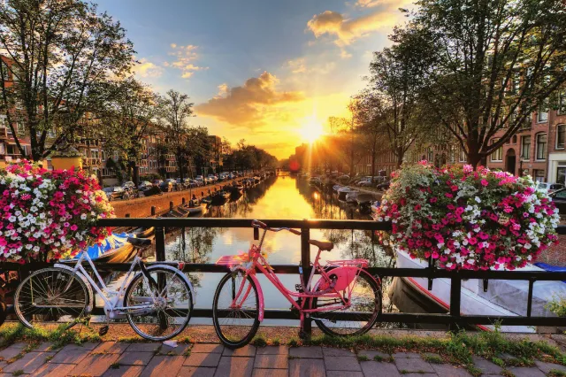 Billede av hotellet Flying Pigs Downtown Hostel Amsterdam - nummer 1 af 8