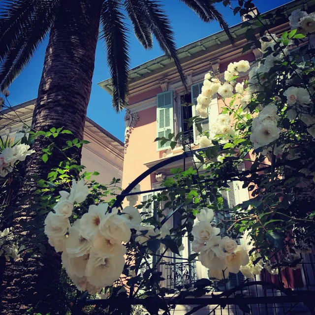 Billede av hotellet Hotel Villa Rose - nummer 1 af 10