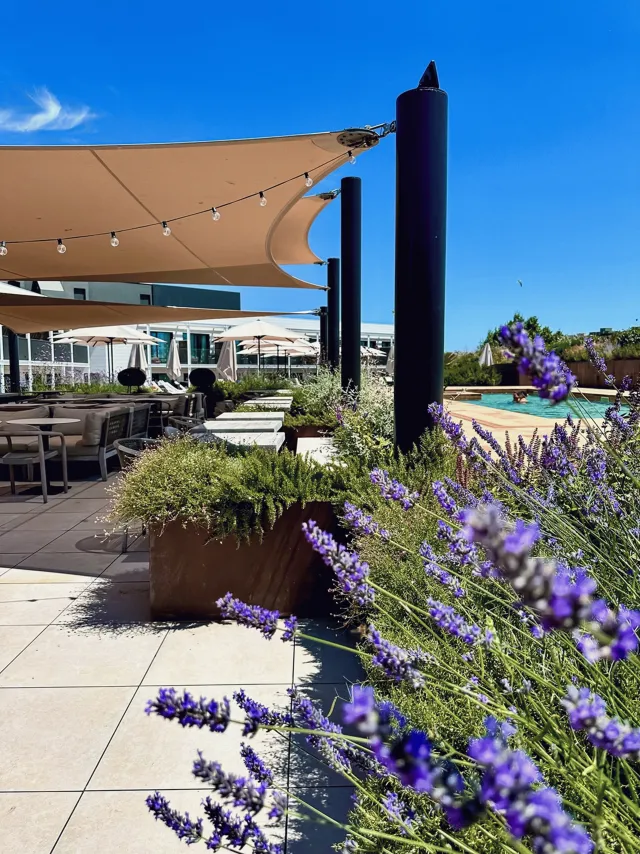 Billede av hotellet Silken Platja D'aro - nummer 1 af 10