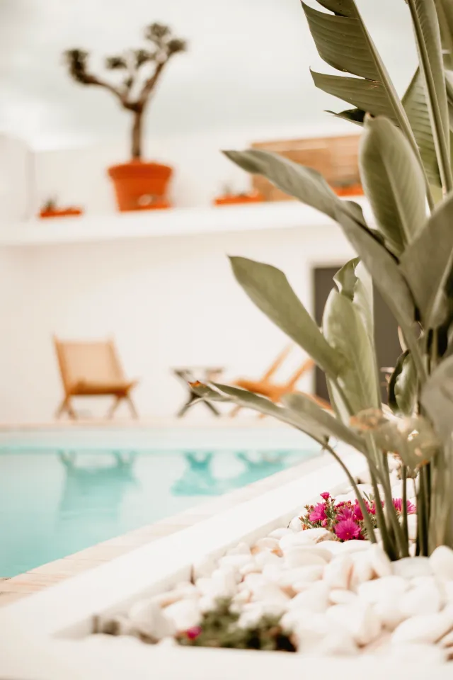 Billede av hotellet Casa Rosa Villa Olhao - nummer 1 af 10