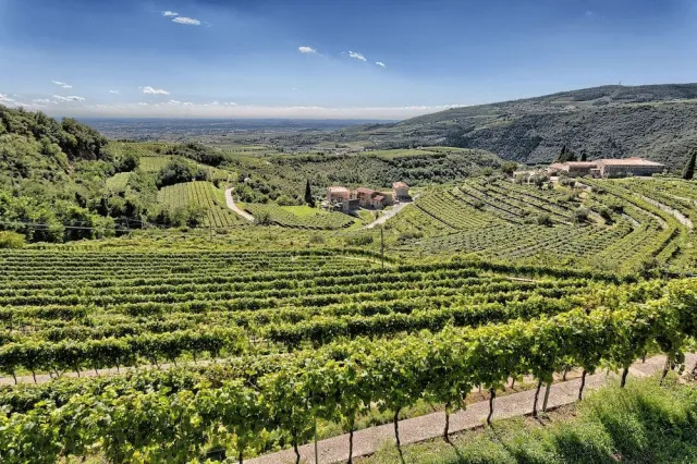 Hotellbilder av Valpolicella International - nummer 1 av 10