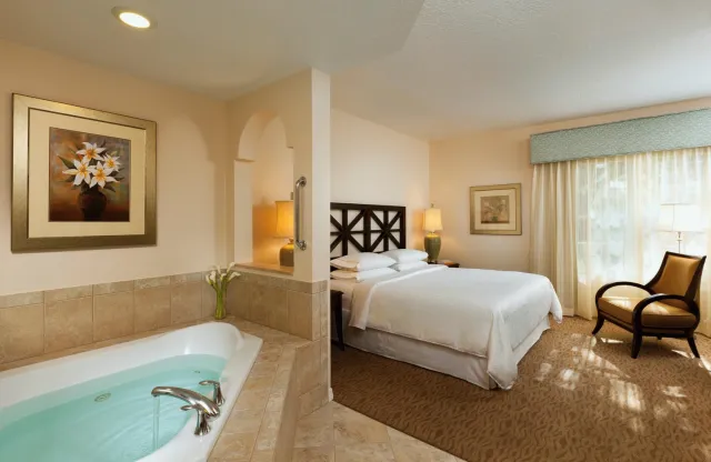Hotellbilder av Sheraton Vistana Resort Villas, Lake Buena Vista/Orlando - nummer 1 av 100