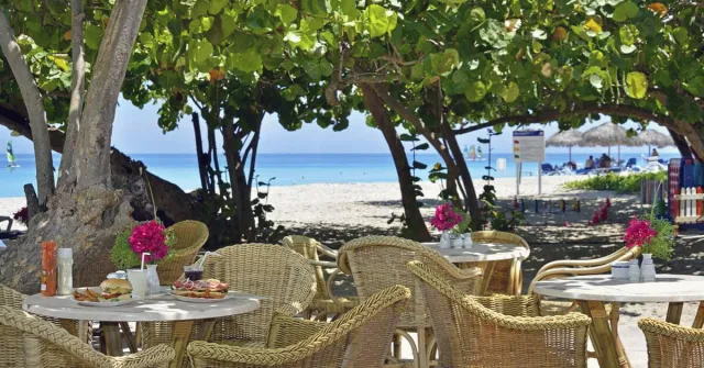 Hotellbilder av Melia Las Americas - nummer 1 av 100