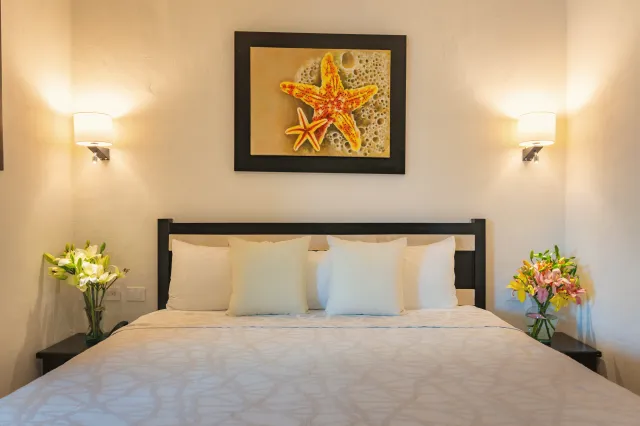 Billede av hotellet Villa Palmeras - nummer 1 af 100