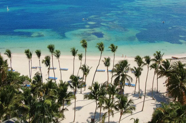 Hotellbilder av Melia Punta Cana Beach Wellness Inclusive - Adults only - nummer 1 av 28