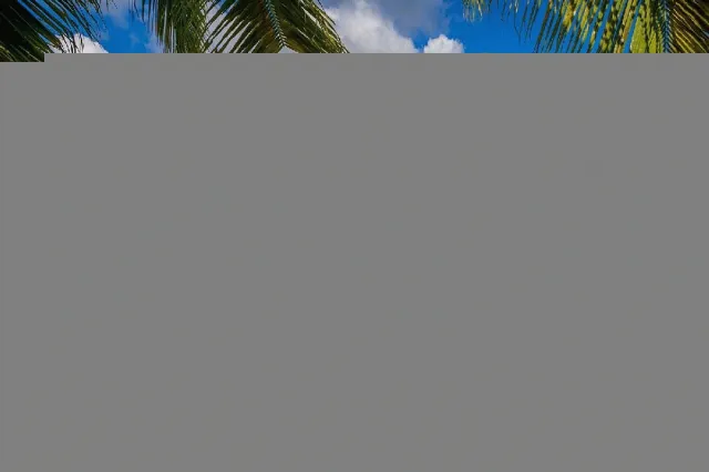 Hotellbilder av Le Peninsula Bay Beach Resort & Spa - nummer 1 av 12