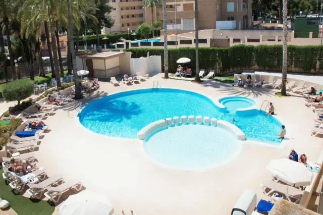 Hotellbilder av Port Alicante - nummer 1 av 161