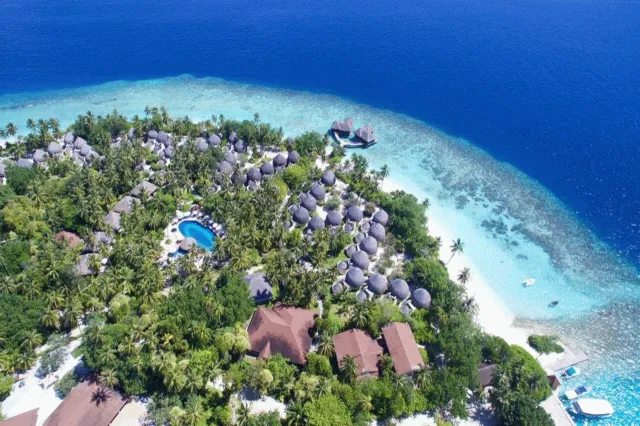 Billede av hotellet Bandos Maldives - nummer 1 af 10