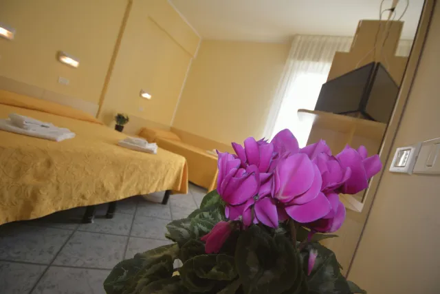 Hotellbilder av Hotel Corona - nummer 1 av 10