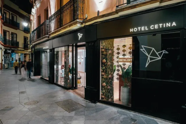 Billede av hotellet Hotel Cetina Sevilla - nummer 1 af 8