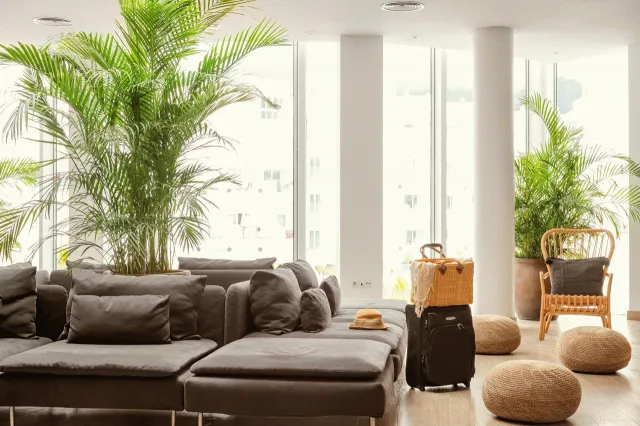 Hotellbilder av Sunwing Fanabe Hotel And Spa - nummer 1 av 10
