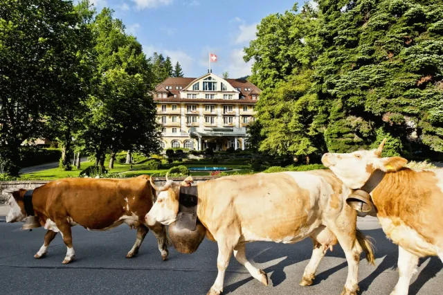 Hotellbilder av Le Grand Bellevue - nummer 1 av 100