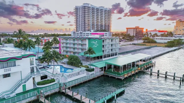 Billede av hotellet Palm Tree Club Miami Hotel - nummer 1 af 100