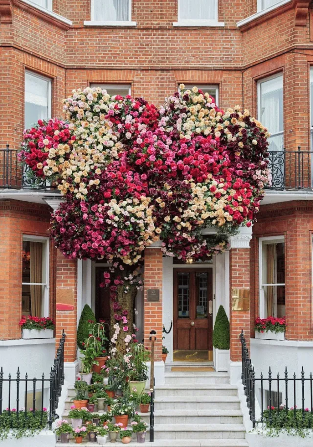 Billede av hotellet The Egerton House Hotel - nummer 1 af 100