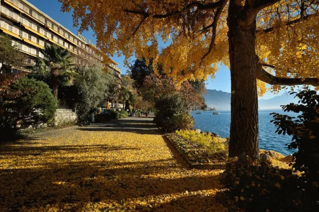 Hotellbilder av Royal Plaza Montreux - nummer 1 av 100