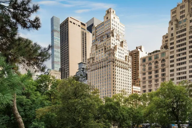 Billede av hotellet The Ritz-Carlton New York, Central Park - nummer 1 af 100