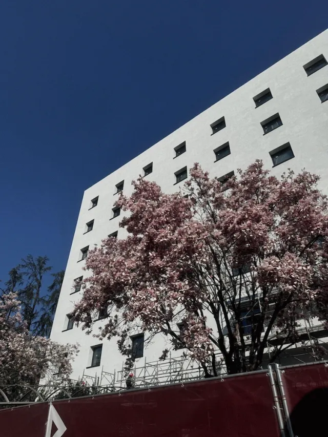 Billede av hotellet Acca Sporting Hotel - nummer 1 af 10
