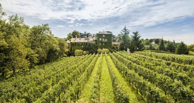Hotellbilder av L'Albereta, Relais & Chateaux - nummer 1 av 87