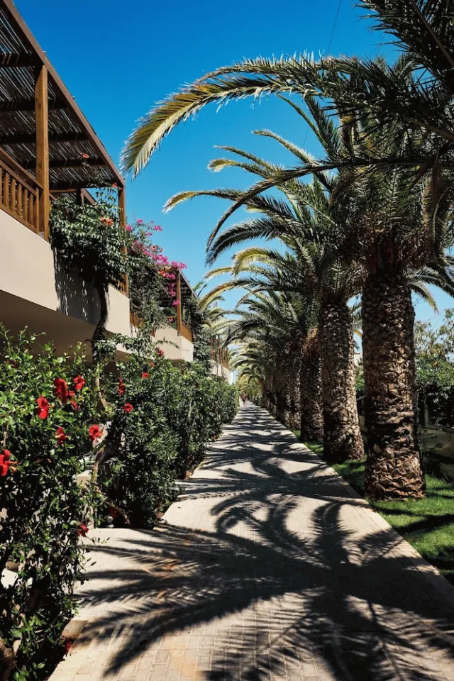 Hotellbilder av Stella Village Seaside Hotel - nummer 1 av 72