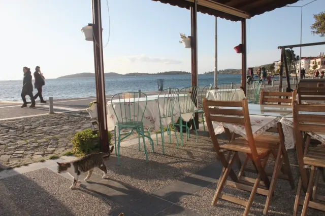 Hotellbilder av Foca Kumsal Hotel - nummer 1 av 78