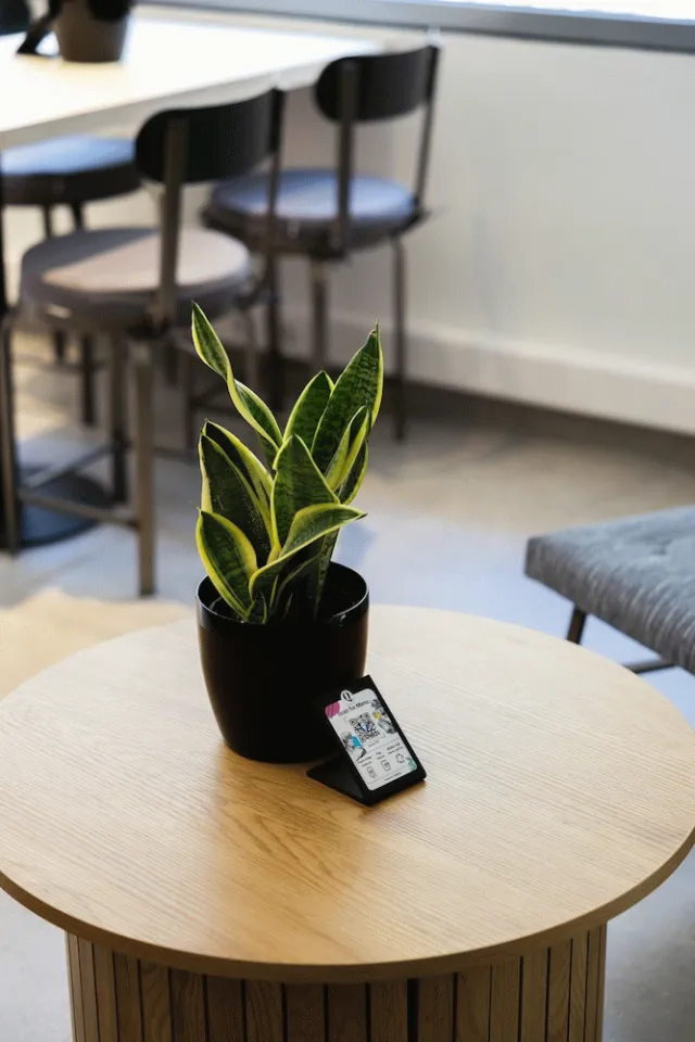 Billede av hotellet The Q Hotel - nummer 1 af 10